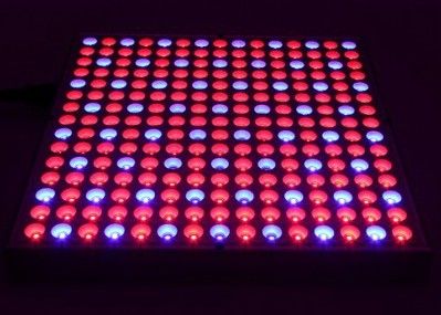 hidrocultivo de 38W los 0.5m2/0.3m llevado para crecer las plantas interiores de la pantalla plana de las luces 45W