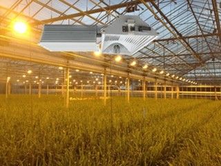 155lm/w 160000lm interiores crecen las luces, 1000W HPS crecen luces