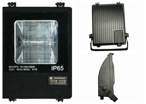 las luces de inundación de alta presión del sodio de 100W 2000K 80lm/W OCULTADAS crecen ligeras