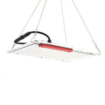 la verdura llevada 100W 60Hz crece las luces, tablero de Quantum que SMD5730 interiores crecen ligeros