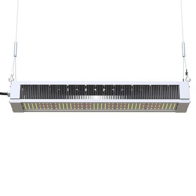 RikoLite 240W que el espectro completo LED crece la barra delgada ligera, AL1100 horticultura LED crece luces