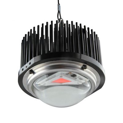 hechos en casa del DOB 50W llevados crecen las luces, espectro completo de la mazorca 1M2 crecen equipos ligeros