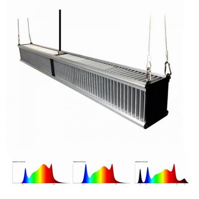 la planta de invernadero de 800w 2.7μMol/J crece luces que el híbrido de la horticultura llevó la barra delgada 1000w