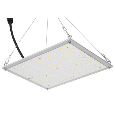 Hidrocultivo de RikoLite 100W 277vac llevado para crecer el tablero 167.3umol/S de Quantum de las luces