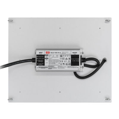 Hidrocultivo de RikoLite 100W 277vac llevado para crecer el tablero 167.3umol/S de Quantum de las luces
