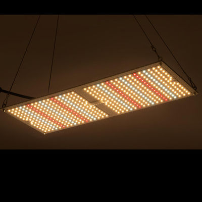 Sistemas cada vez mayor hidropónicos del cultivo de la planta medicinal de Rikolite 200w del tablero interior de Quantum