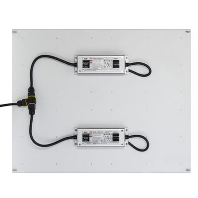 El poder más elevado de Rikolite 400w llevado para crecer las luces, planta hidropónica 149.6m/W crece ligero