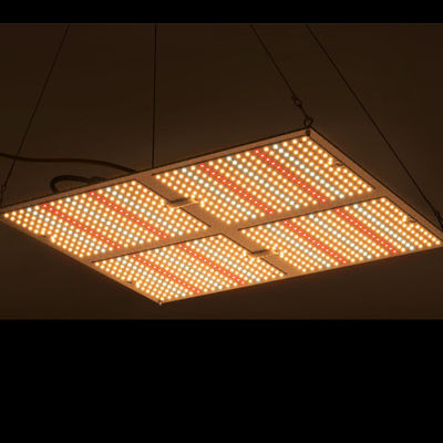 El poder más elevado de Rikolite 400w llevado para crecer las luces, planta hidropónica 149.6m/W crece ligero