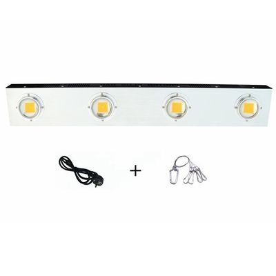 Planta de RikoLite 0.2KW llevada a crecer ultravioleta ULTRAVIOLETA del cáñamo interior de las luces 200w