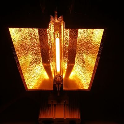 el doble de 1000W HPS terminado crece la solución de iluminación teledirigida 2100umol/s de las luces