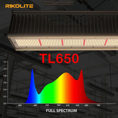 TL650 invernadero del PAR 1755umol/S llevado para crecer las luces 630W para Veg/la flor