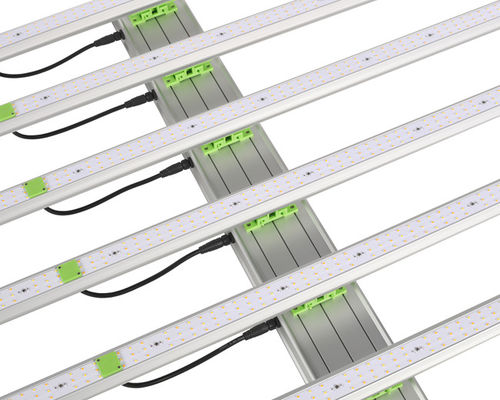 600W 1560μ Mol Plant LED crecen luces 6 barras EPAR 380nm-760nm
