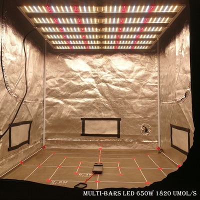 El invernadero LED de las barras de RikoLite 650W 1820umol/S 6 crece luces
