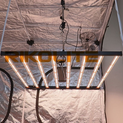 5X5 el poder más elevado LED crece las luces LM301B/LM301H Osram 660nm Osram 730nm