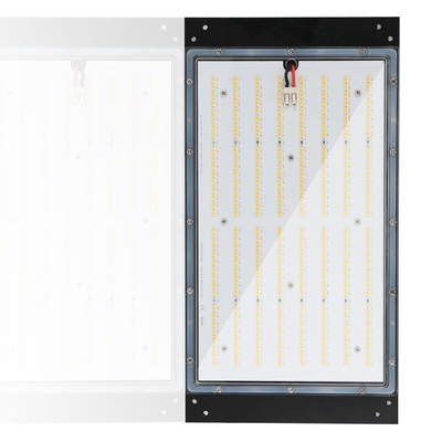 120w el hidrocultivo LED crece luces que 3500k Dimmable IP65 valoró prenda impermeable