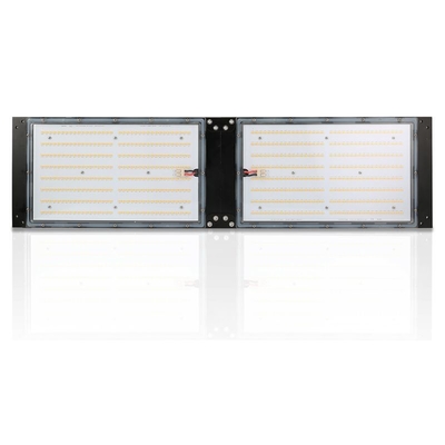 Tablero impermeable de IP65 LED Herb Grow Light 240W SAMSUNG Quantum para agrícola