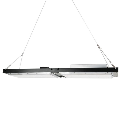 Tablero impermeable de IP65 LED Herb Grow Light 240W SAMSUNG Quantum para agrícola