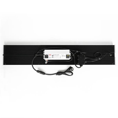 El hidrocultivo Quantum LED crece el espectro completo de las luces IP65 320w para la verdura