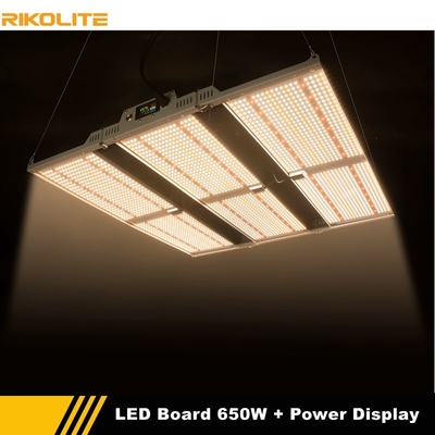 La horticultura LED de Rikolite crece tableros de las luces 650w Quantum con la función de la exhibición del poder