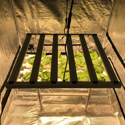El conductor Free Full Spectrum LED crece el lastre de las luces 600w compatible para la agricultura