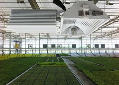 el LED OCULTADO 1050µMol/S crece las luces, 630W cosecha el haluro de cerámica del metal crece ligero