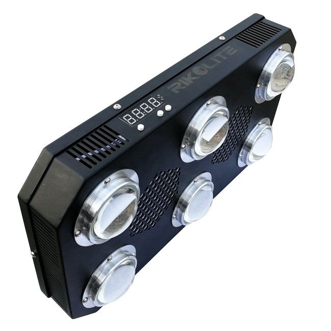 la MAZORCA de 300W 4.2kgs LED crece la fan floreciente ligera de la placa del disipador de calor que 24 horas cambian 300w llevado para crecer la luz