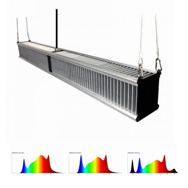 la planta de invernadero de 800w 2.7μMol/J crece luces que el híbrido de la horticultura llevó la barra delgada 1000w