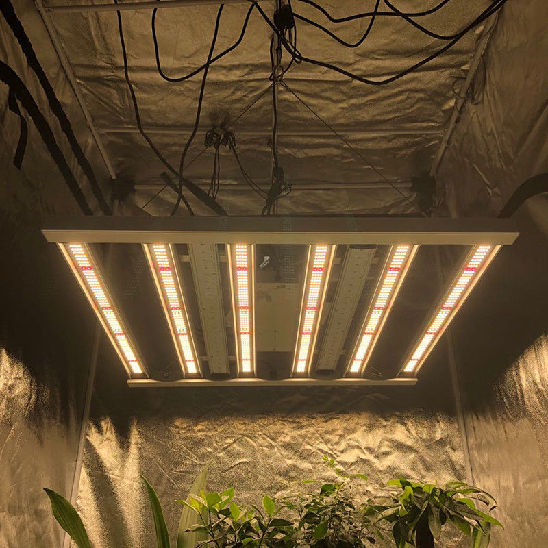La horticultura centígrada 35 llevada crece la barra de luces del pilar 2.6μMol/J de las luces 480W 6